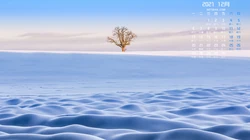 唯美冬日雪景，雪人，北极光 2021年12年日历壁纸图片