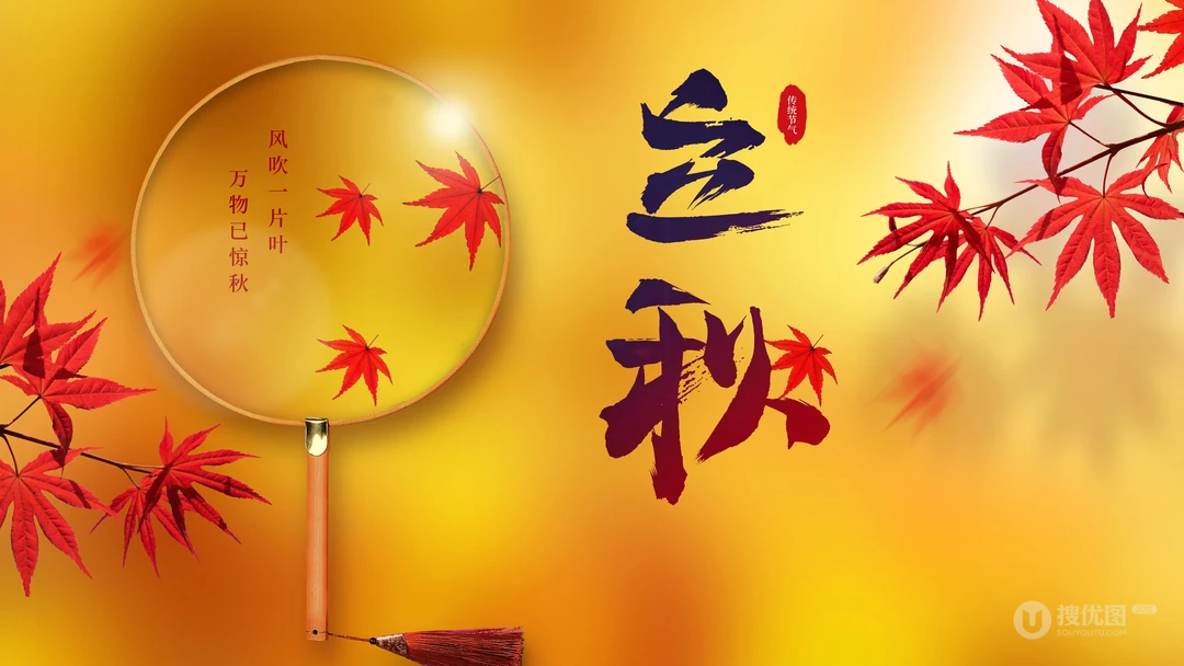 风吹一片叶，万物已惊秋，立秋主题壁纸