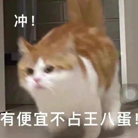 奔跑的猫，冲！有便宜不占王八蛋表情搞笑图片