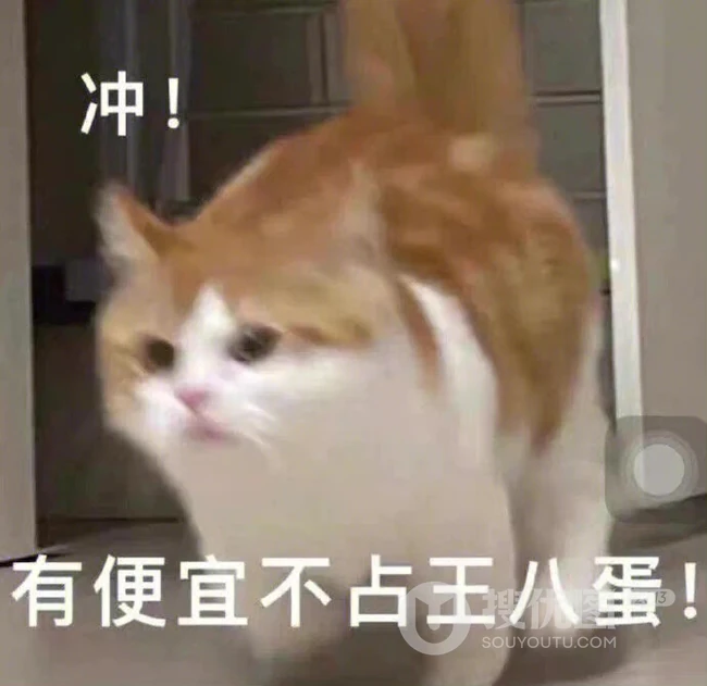 奔跑的猫，冲！有便宜不占王八蛋表情搞笑图片