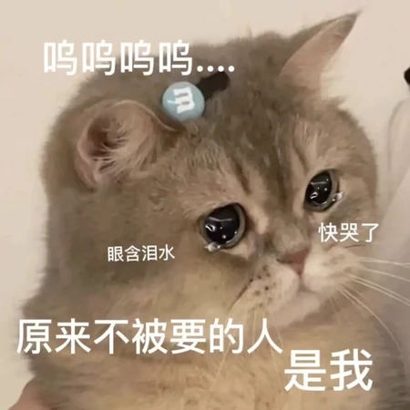 眼含泪水的可爱猫咪，原来不被要的人是我文字可怜表情图片