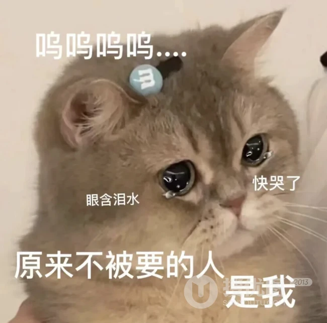 眼含泪水的可爱猫咪，原来不被要的人是我文字可怜表情图片