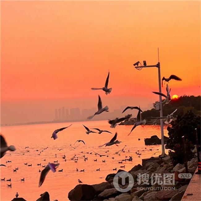 唯美落日，夕阳，映红了天，点亮了生活，人们归家的美 第1张