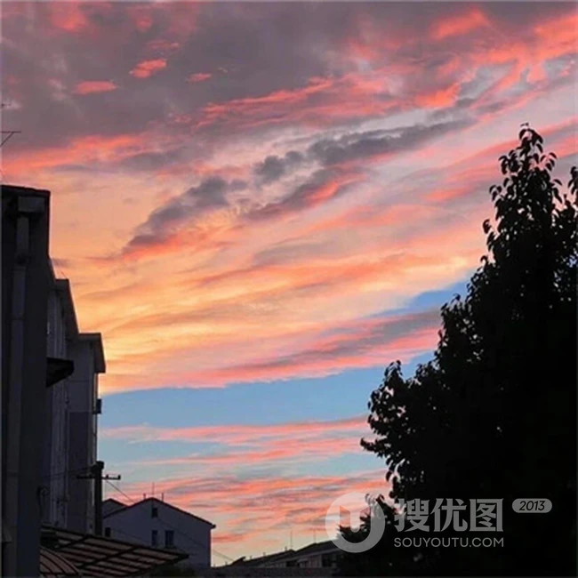 唯美落日，夕阳，映红了天，点亮了生活，人们归家的美 第5张