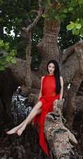 张雨绮连衣红裙着身坐在大树上优雅美丽写真图片