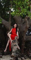 张雨绮连衣红裙着身坐在大树上优雅美丽写真图片