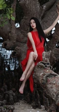 张雨绮连衣红裙着身坐在大树上优雅美丽写真图片