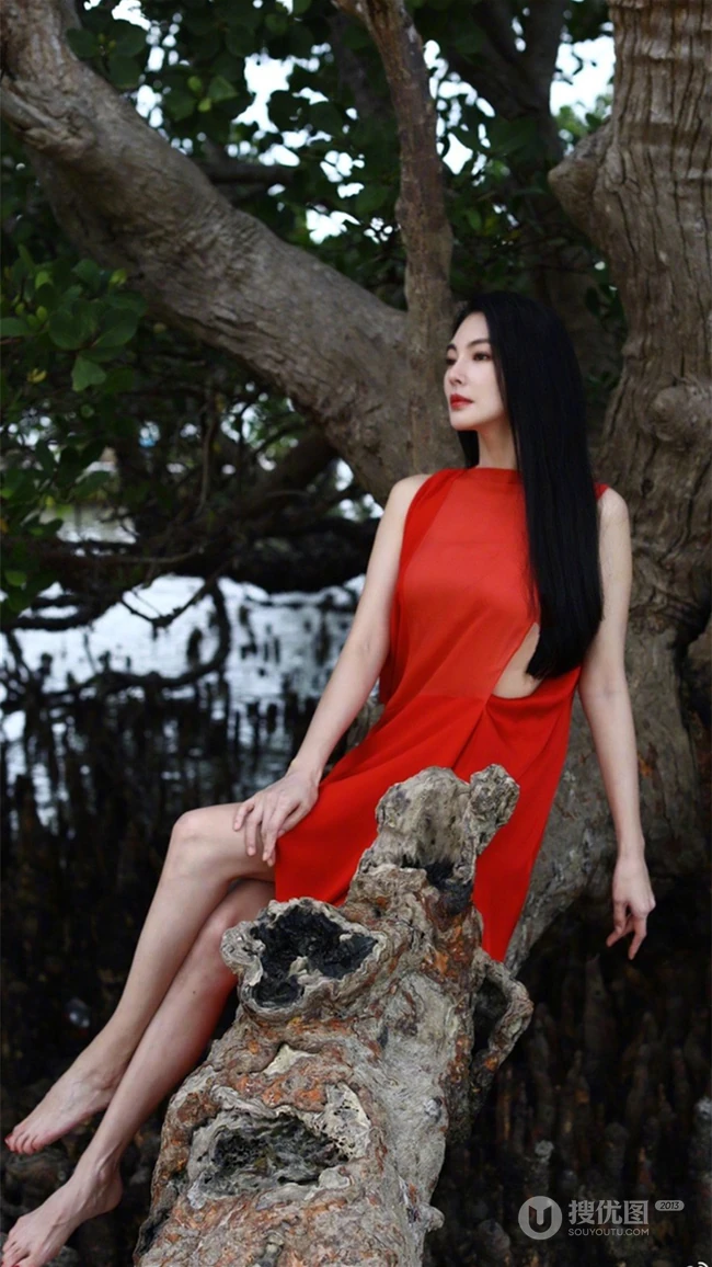 张雨绮连衣红裙着身坐在大树上优雅美丽写真图片