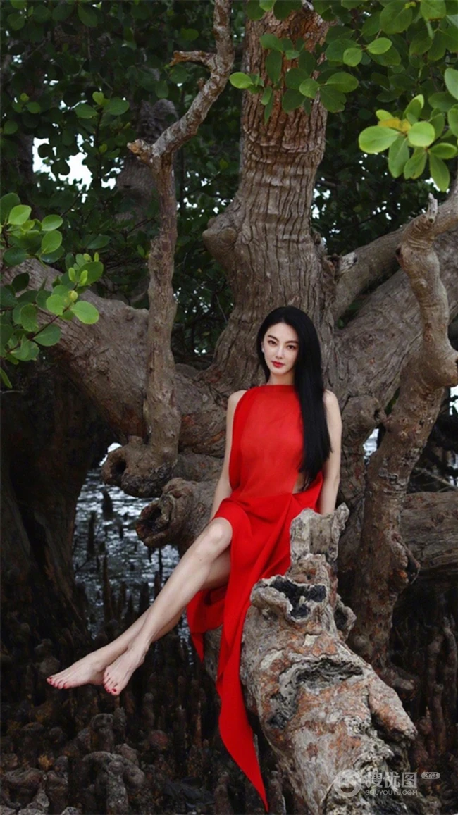 张雨绮连衣红裙着身坐在大树上优雅美丽写真图片