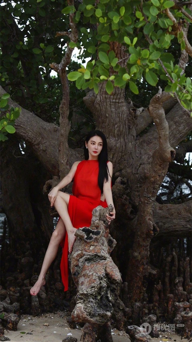 张雨绮连衣红裙着身坐在大树上优雅美丽写真图片