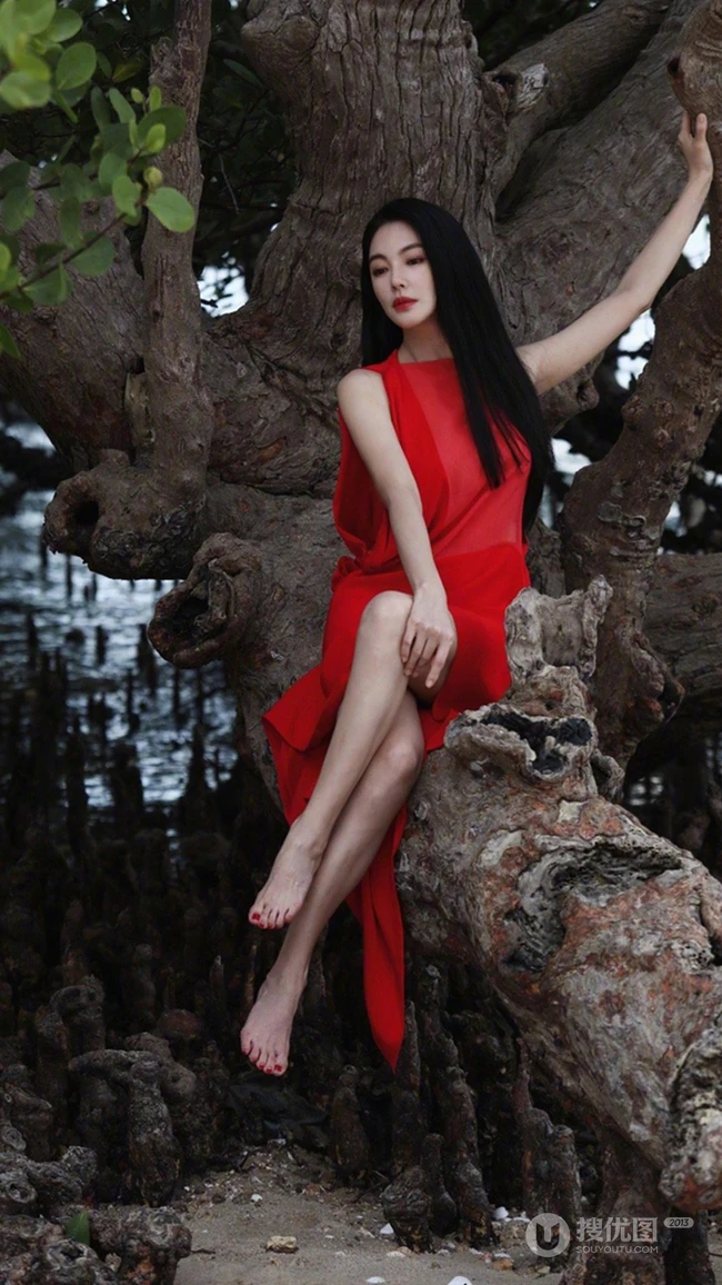 张雨绮连衣红裙着身坐在大树上优雅美丽写真图片