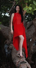 张雨绮连衣红裙着身坐在大树上优雅美丽写真图片