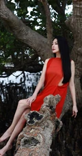 张雨绮连衣红裙着身坐在大树上优雅美丽写真图片