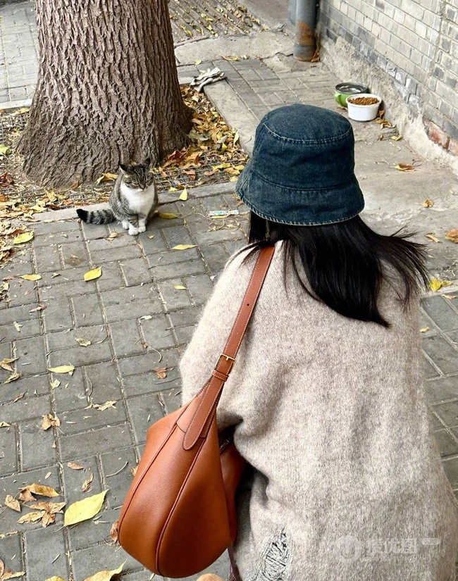 高圆圆深秋街头留连漫步生活照美拍图片