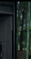 许凯，景甜演绎江湖武侠风写真大片，一对竹林里的逍遥伴侣