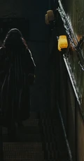 电视剧《繁花》辛芷蕾饰演的李李气质梦幻背影个人精选超美剧照