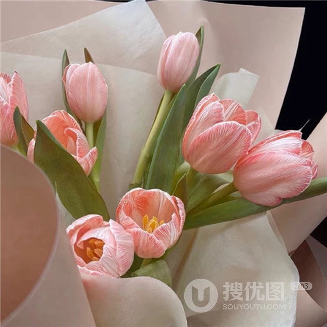 2024年适合当朋友圈背景的烟花，首饰，苹果，草莓，百合花等多图图片 第7张