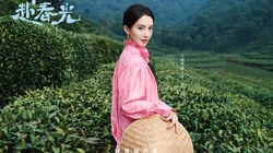 美女金晨茶山踏青超美户外新装主题写真壁纸图片
