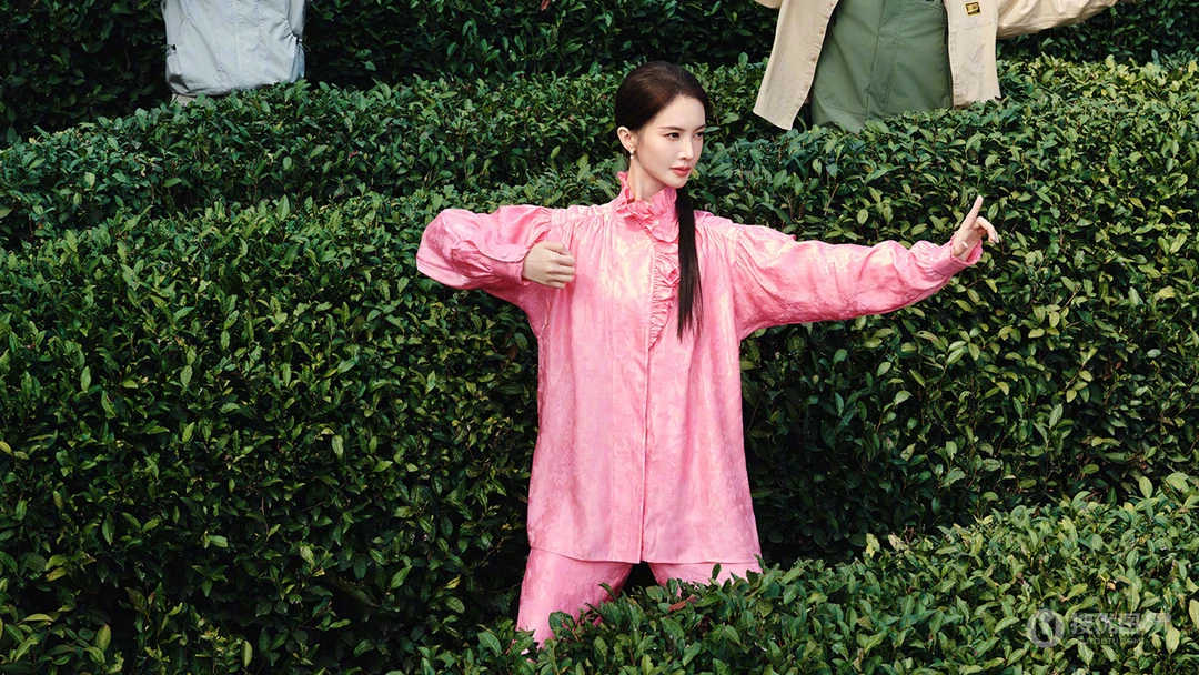 美女金晨茶山踏青超美户外新装主题写真壁纸图片