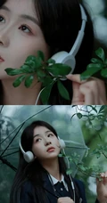 轻风细雨，享受一个人的清新和音乐，撑伞行走在阴雨中的女孩漫步绿荫树下摄影美图
