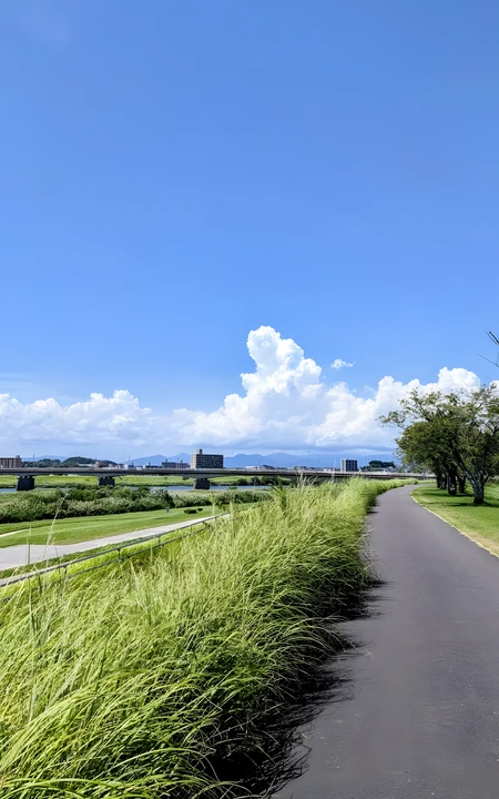 夏日河畔滨水步道 晴空绿草郊野自然风光