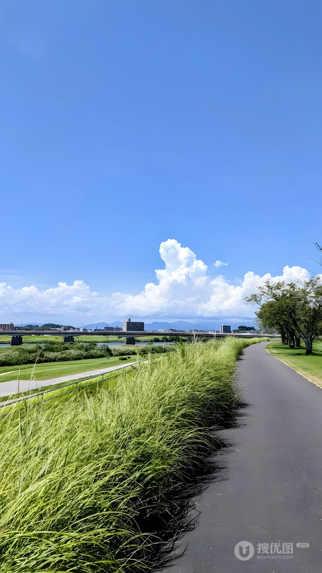夏日河畔滨水步道 晴空绿草郊野自然风光