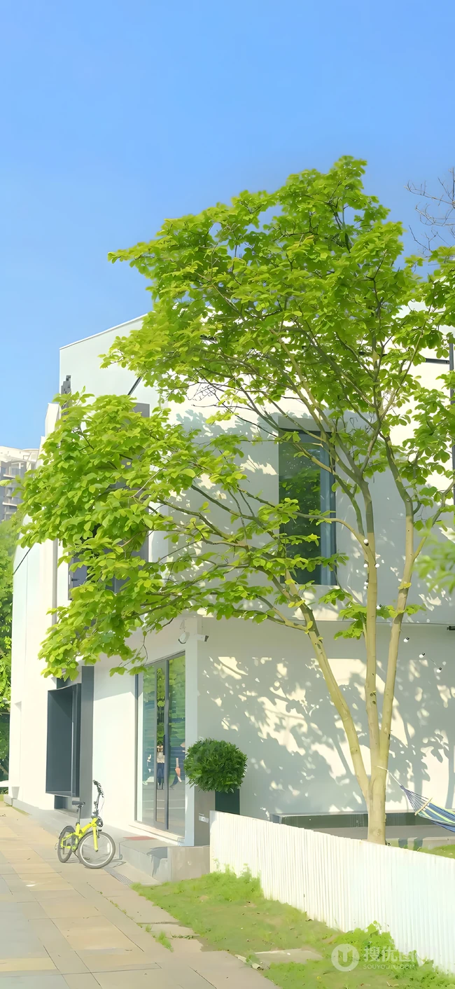 晴朗天气下的白色独栋现代建筑街景