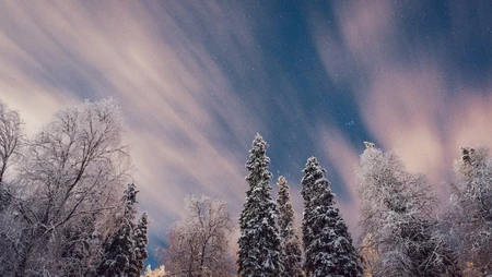 冬季雾凇树林梦幻粉紫色天空雪景