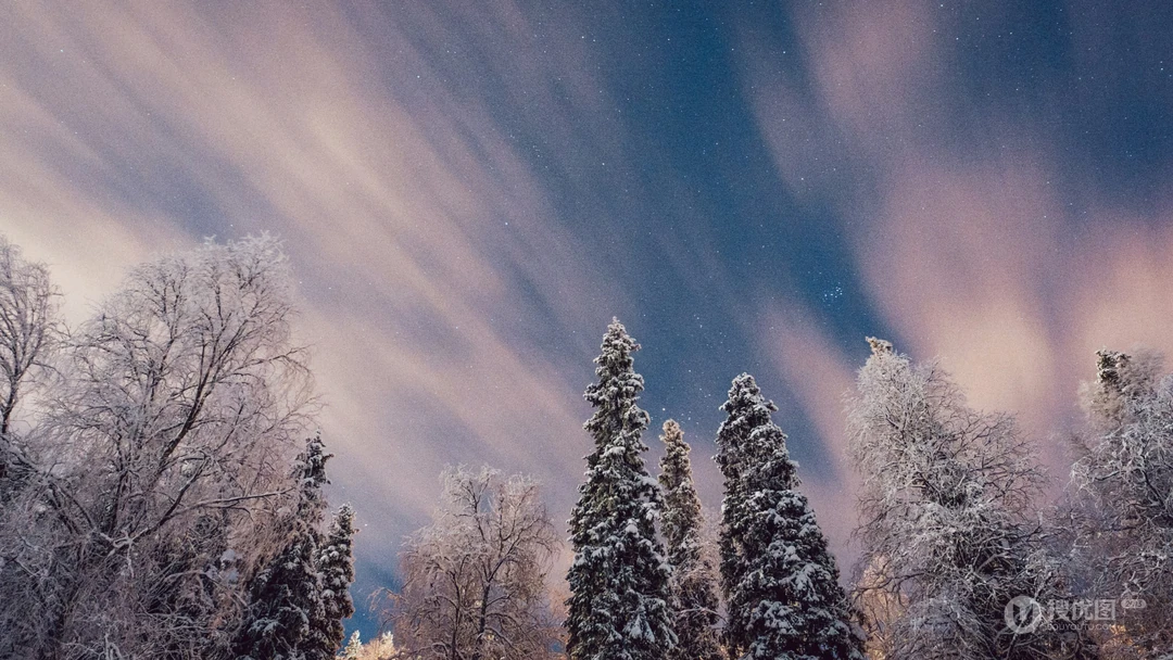冬季雾凇树林梦幻粉紫色天空雪景