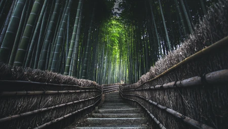 风景壁纸