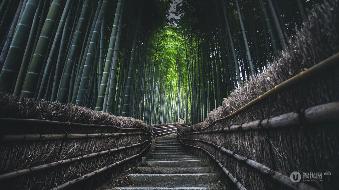 幽静竹林间石阶步道自然风景