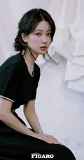 杨紫温柔长辫出镜搭配复古优雅裙装系列尽显气质女生气质写真图集