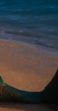 海边美人鱼装扮的气质长发女生模特暖阳下魅力写真图片