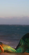 海边美人鱼装扮的气质长发女生模特暖阳下魅力写真图片