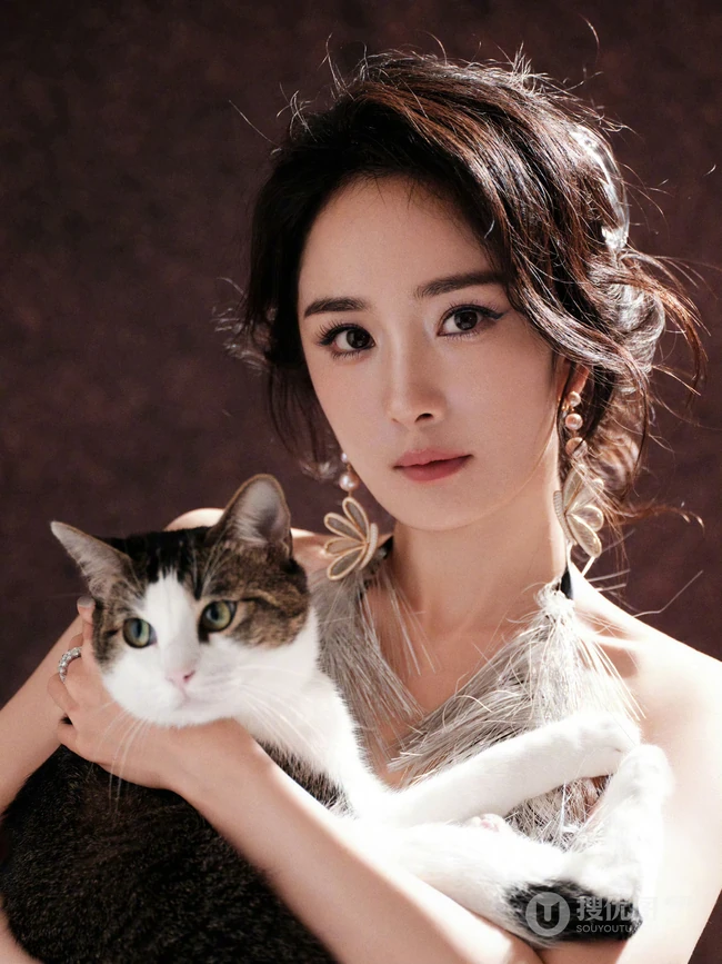 杨幂和鹦鹉，猫咪等小动物合拍美照