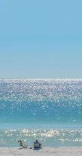 清新治愈海滨沙滩澄澈海景风光合集