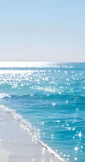 清新治愈海滨沙滩澄澈海景风光合集