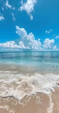 清新治愈海滨沙滩澄澈海景风光合集
