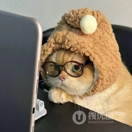 软萌可爱猫咪趣味日常萌宠头像合集