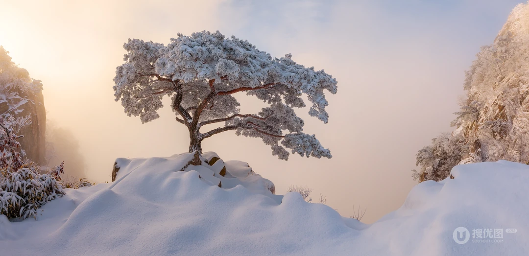 冬日山间雾凇奇景 雪覆孤松唯美风光