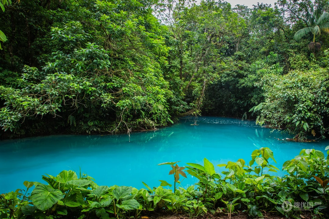 热带雨林间澄澈蓝绿色水潭自然风景