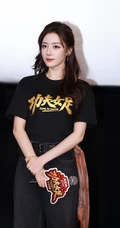 迪丽热巴出席《功夫女足》路演活动现场组图