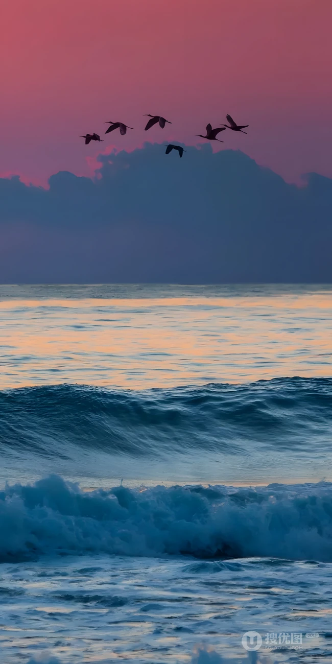 黄昏粉紫色天空下海面飞鸟海浪自然风景