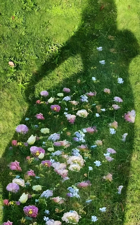 草地花朵拼贴成人影形状浪漫创意摄影