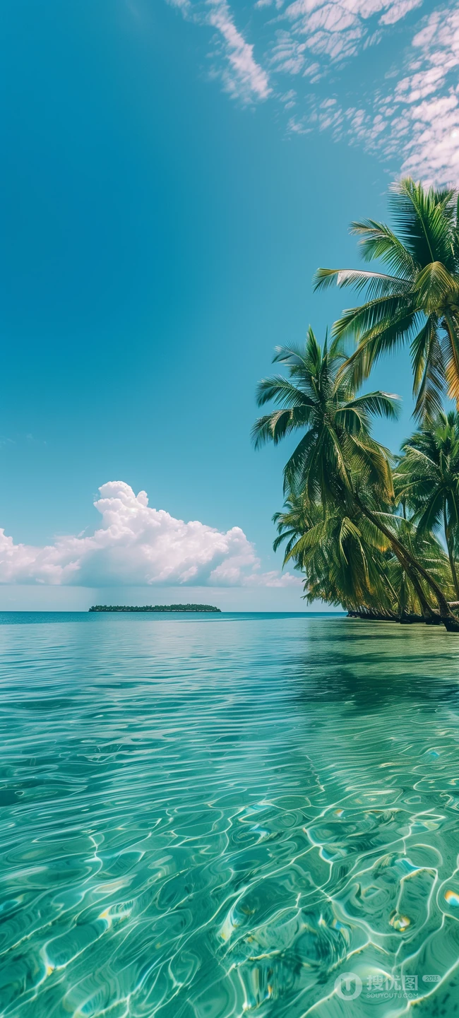 热带海滨椰林清澈海面夏日风光