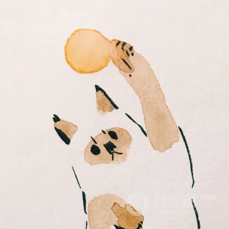 简约手绘创意插画系列头像合集