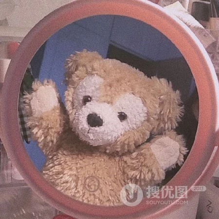 治愈系情侣萌宠玩偶头像系列合集