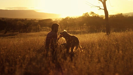 夕阳郊野草地少年与宠物犬温馨互动场景