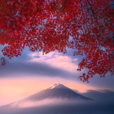 日本富士山四季风光 红枫樱花湖景摄影组图