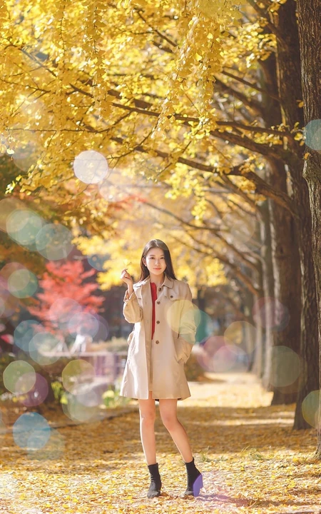 秋日银杏林间的清新风衣少女人像写真